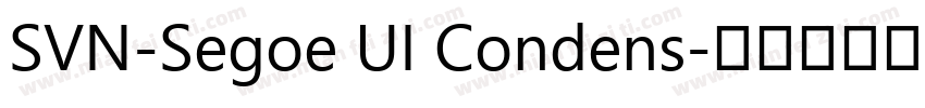 SVN-Segoe UI Condens字体转换